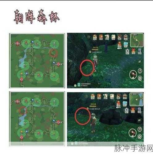 小森生活稀有虫点全揭秘，位置与刷新规律