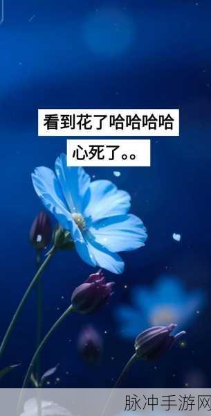 恋与深空，无人知晓时思念卡的深度剖析