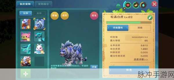 创造与魔法，皎晶白虎资质探秘