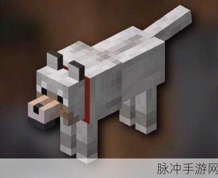 探索我的世界，宠物守护家园全攻略