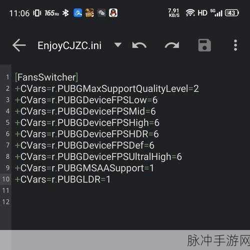 和平精英代码秘籍，使用技巧与空白名代码全解析