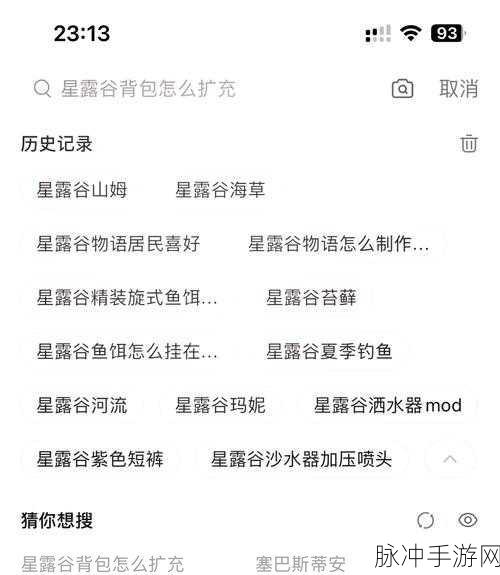 星露谷物语神秘森林探秘指南