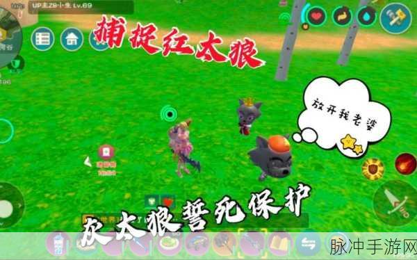 创造与魔法，精准解读狼的资质之谜