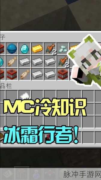 我的世界，冰霜行者等级全解析