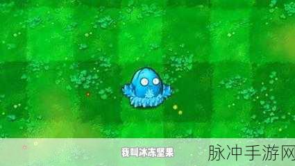 植物大战僵尸中那些被冷落的植物