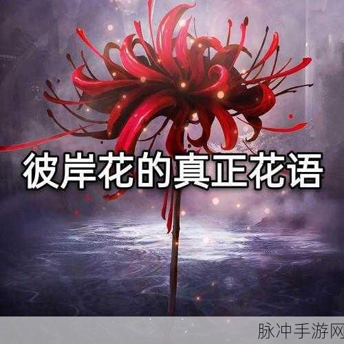 阴阳师夜溟彼岸花在协同对弈中的惊艳表现全解析