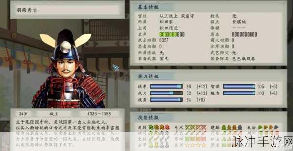 太阁立志传 5 攻略，成长期的完美进阶指南