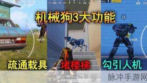 和平精英，获取重启未来机械狗秘籍大公开