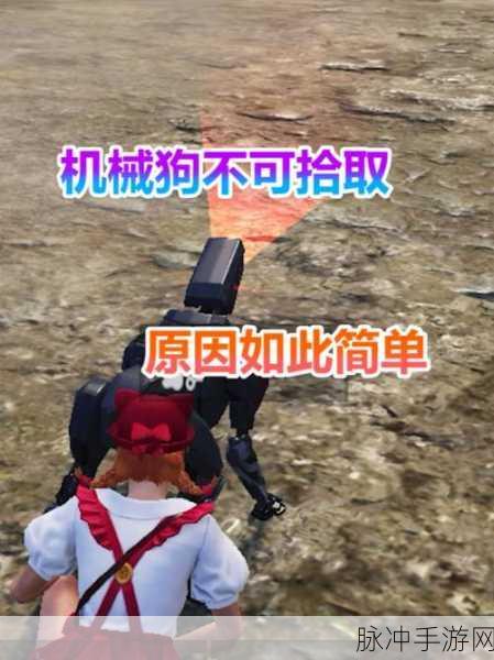 和平精英，获取重启未来机械狗秘籍大公开