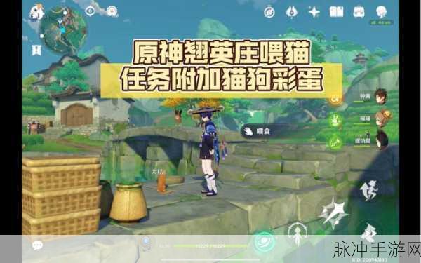 原神喂猫任务全攻略，地点与技巧详解