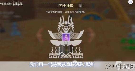 创造与魔法龟壳获取全攻略