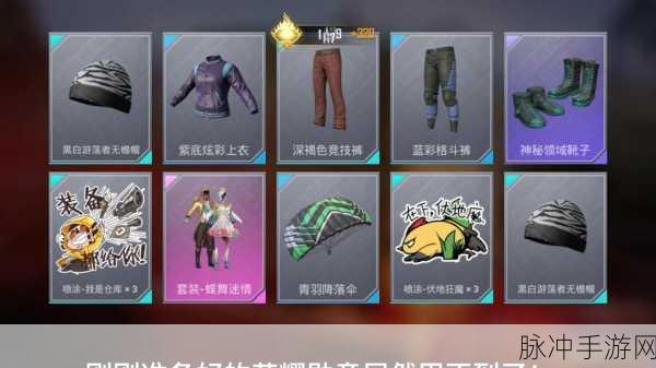 和平精英 PEL 电竞逐梦者军需价格大揭秘