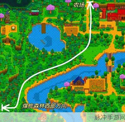 星露谷物语 13 心开启全攻略指南