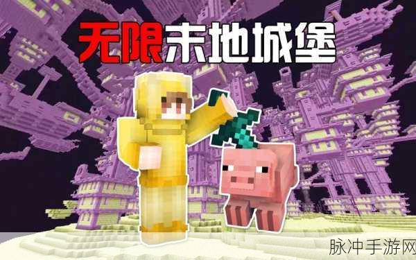 我的世界末地城数量大揭秘