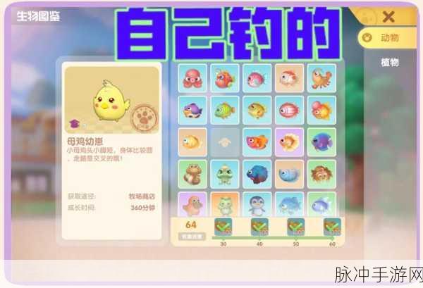 摩尔庄园手游钓鲨鱼全攻略 鱼饵秘籍大公开
