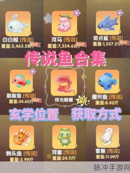摩尔庄园手游，美美鱼垂钓全攻略