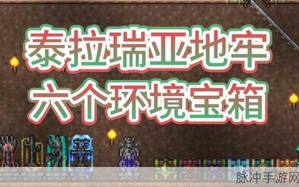 泰拉瑞亚地牢老人的解药之谜，全面攻略指南