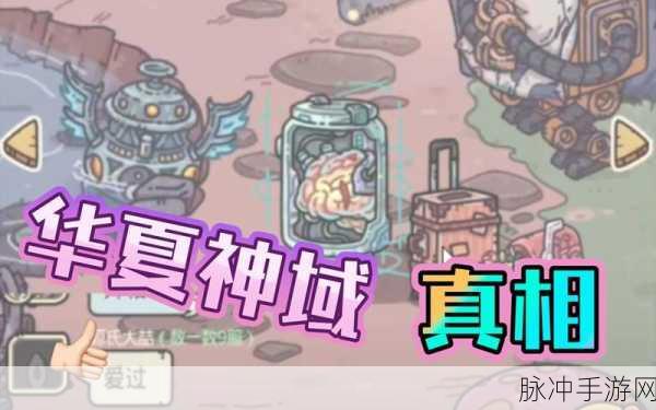 最强蜗牛密令输入位置全解析