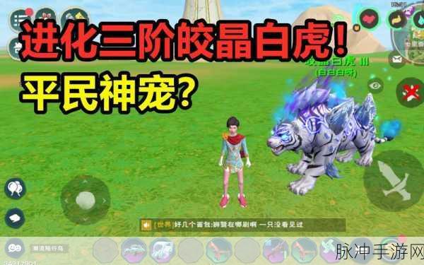 创造与魔法，皎晶白虎合成秘籍大公开