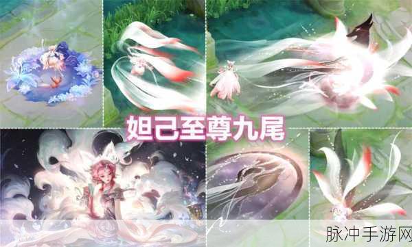 王者荣耀海月皮肤手感大揭秘，你选对了吗？