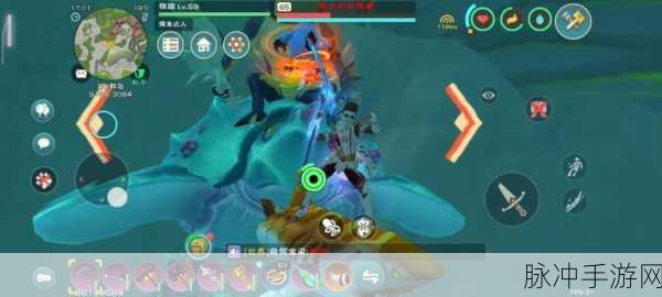 创造与魔法，乌龟驯服秘籍大公开