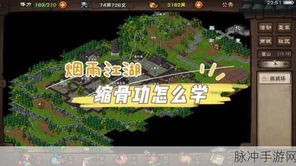 烟雨江湖雁行功获取指南与深度解析