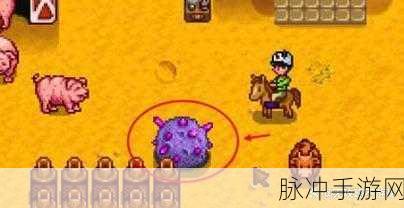 星露谷物语铱矿获取全指南