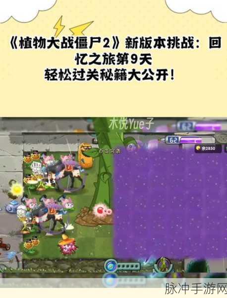 植物大战僵尸，从第一关到最后，胜利秘籍大公开