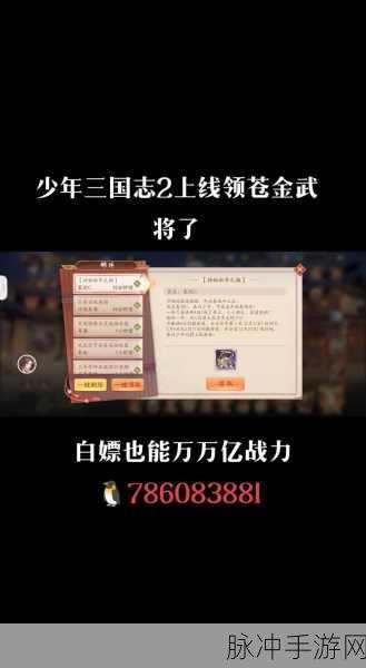 少年三国志，武将精美皮肤获取与更换全攻略