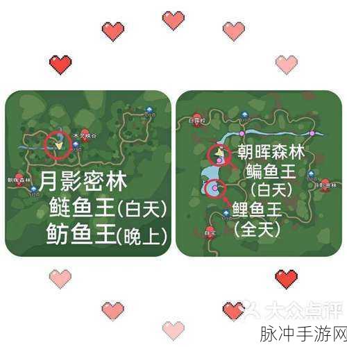 小森生活鲤鱼王出没位置与宠物技能升级秘籍