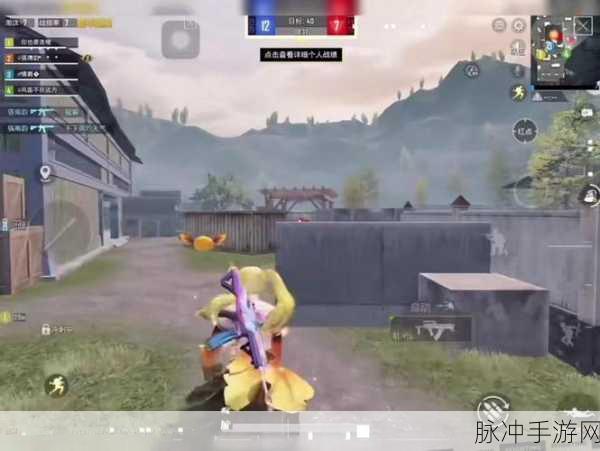 和平精英峰刺攻略，踏上和平战场的致胜之道