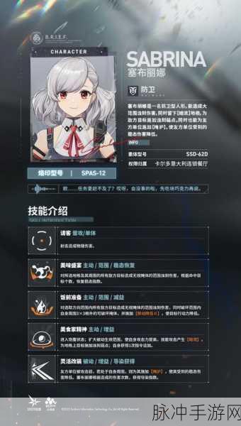 少女前线 2 追放，人物全解析与角色推荐指南
