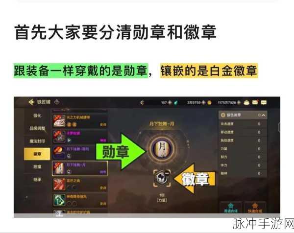 DNF 手游，华丽徽章镶嵌部位全解析