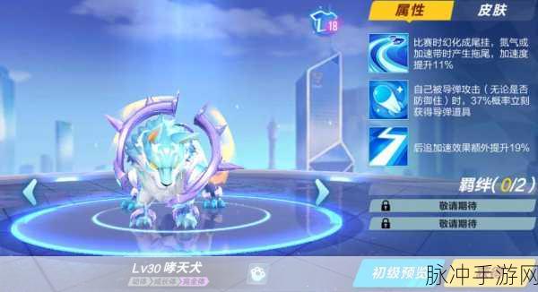 QQ 飞车手游，腾空宠物王者之争