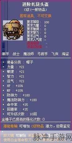 泰拉瑞亚，冰霜女巫珍稀掉落宝物全览