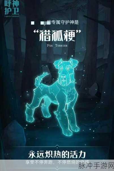 哈利波特魔法觉醒，守护神实力大揭秘