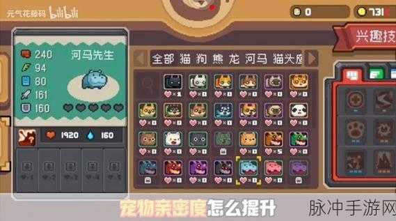 元气骑士前传，宠物亲密度提升秘籍大公开