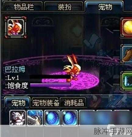 DNF 春节宠物交易大揭秘及热门宠物详解