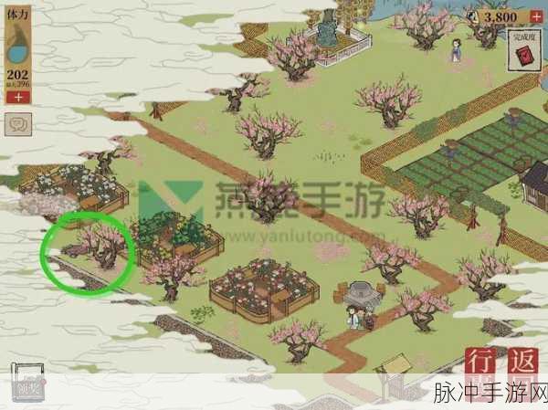 江南百景图苏州探险桃花坞隐藏奖励大揭秘
