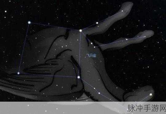 幻塔飞马座连线秘籍，解锁神秘力量