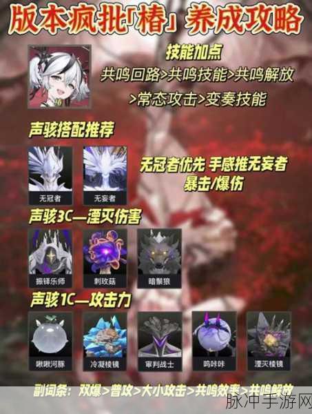 鸣潮声骸升级材料全攻略 助你快速提升实力