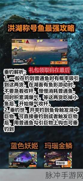 欢乐钓鱼大师体感玩法全攻略与新玩法深度解析