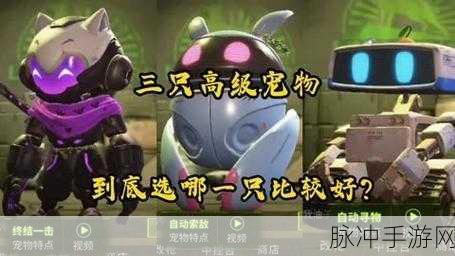 萤火突击，获取高级宠物扩容箱的终极指南