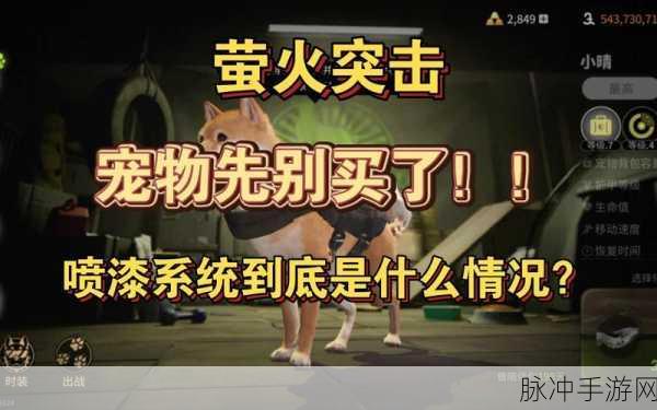 萤火突击，获取高级宠物扩容箱的终极指南