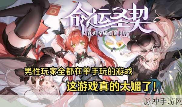 命运圣契战力狂飙秘籍，全方位提升指南
