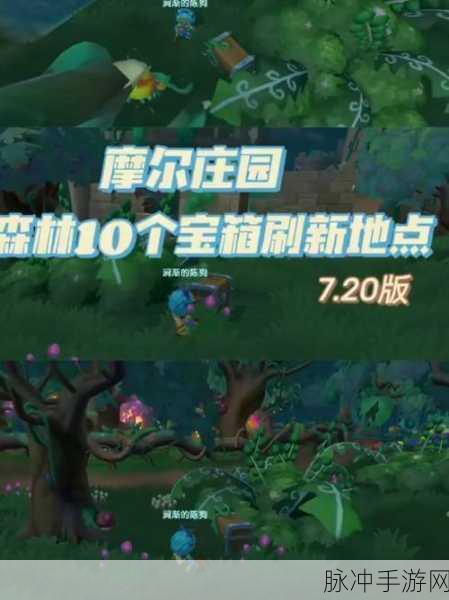摩尔庄园手游，探寻黑森林宝箱的神秘所在
