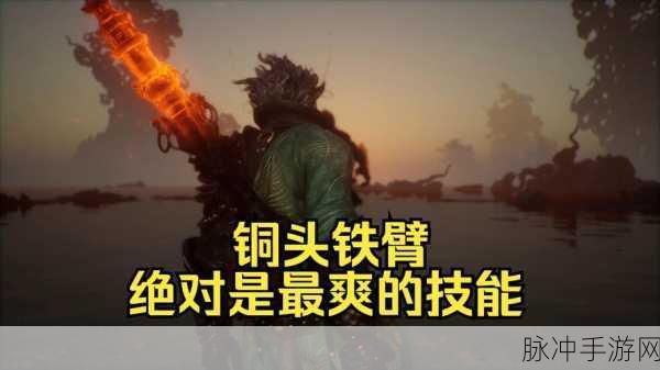 黑神话悟空中铜头铁臂的强大效果解析