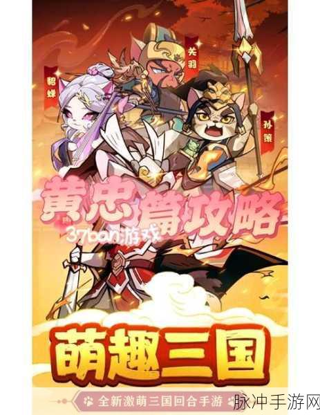 猫三国神仙系统大揭秘，你不可不知