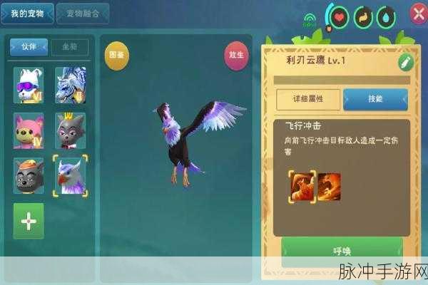 创造与魔法，云鹰的喂养秘籍大公开