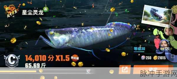 欢乐钓鱼大师，亚马逊河深渊幽鲶垂钓秘籍